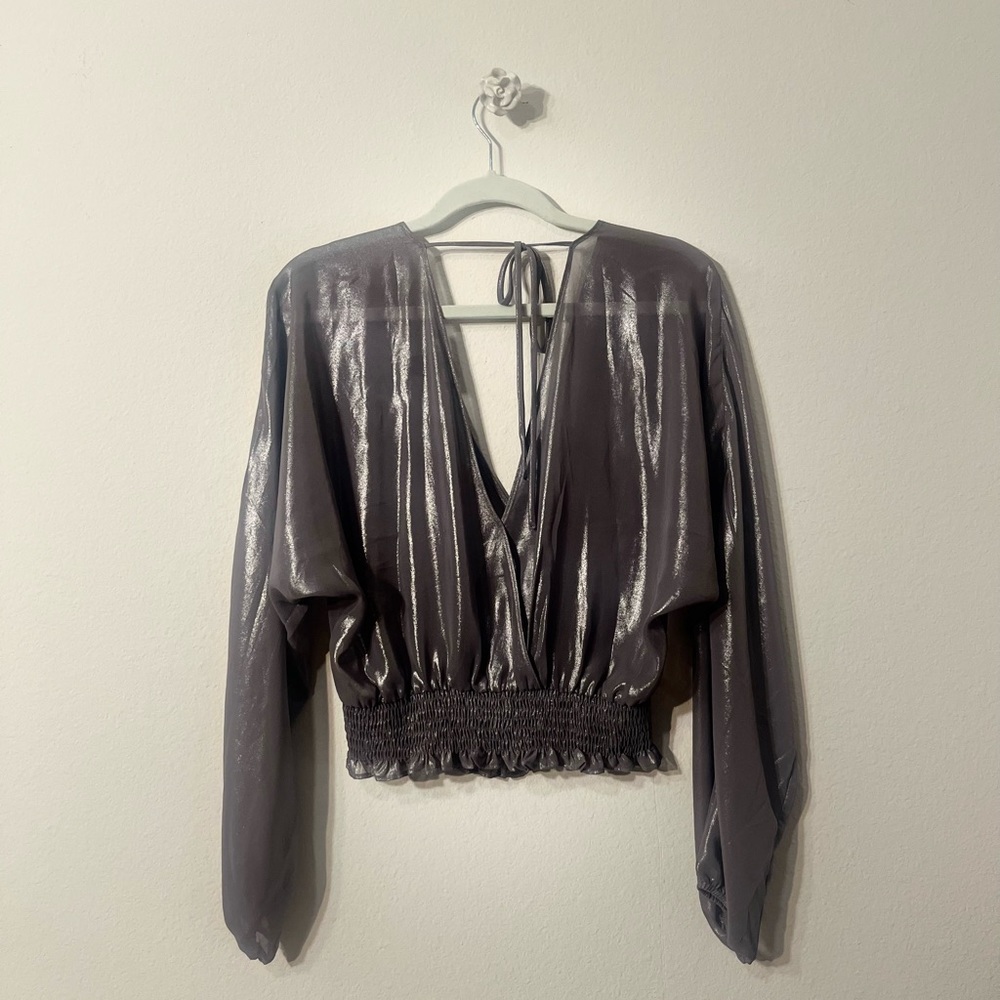 Gorgeous Sheer Metallic Blouse Top